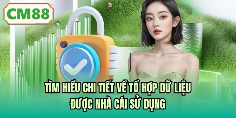 Tìm hiểu chi tiết về tổ hợp dữ liệu được nhà cái sử dụng