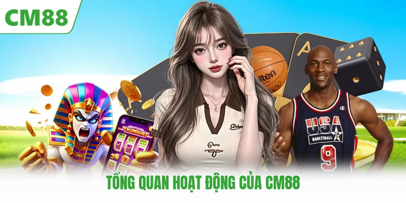 Tổng quan hoạt động của CM88